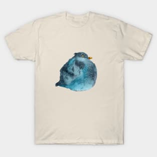 A Fat Pigeon T-Shirt